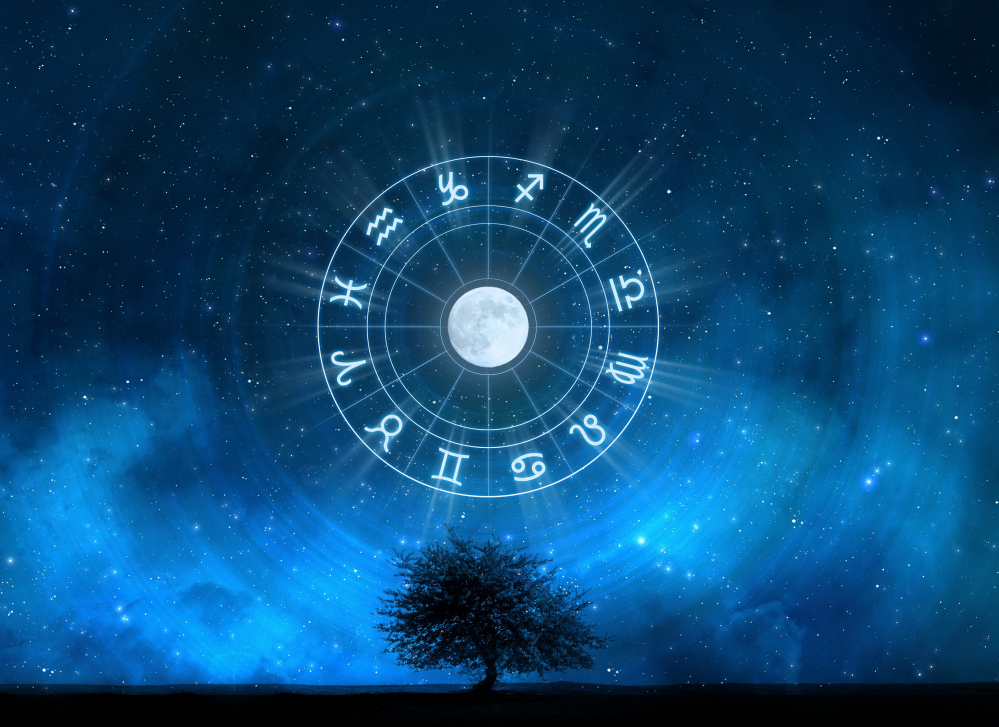 Tu di che segno sei? #leganerd Segno zodiacale 21 gennaio