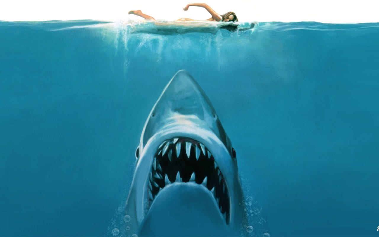 Lo Squalo: Steven Spielberg è dispiaciuto per la decimazione degli squali dopo il film