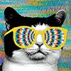 :iani_psycat: