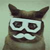 :iani_trancecat: