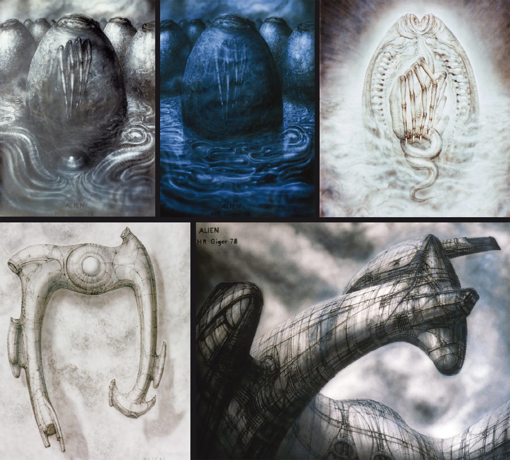 Gallery image 1