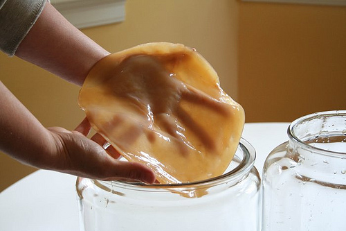 L’alga portafortuna