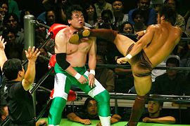 Puroresu: il wrestling giapponese