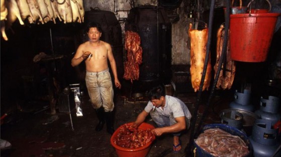 Kowloon Walled City: