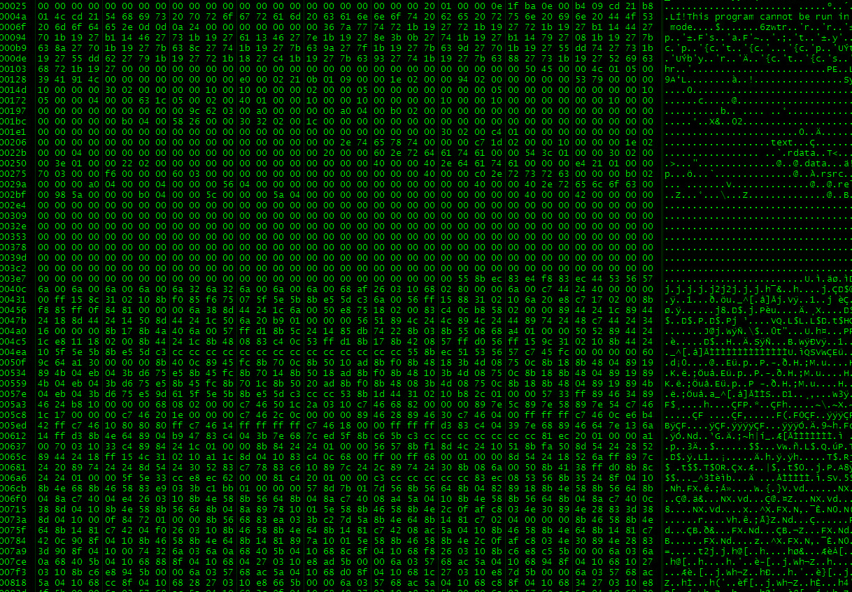 Hex Editing, quando i cheat li facevamo a casa