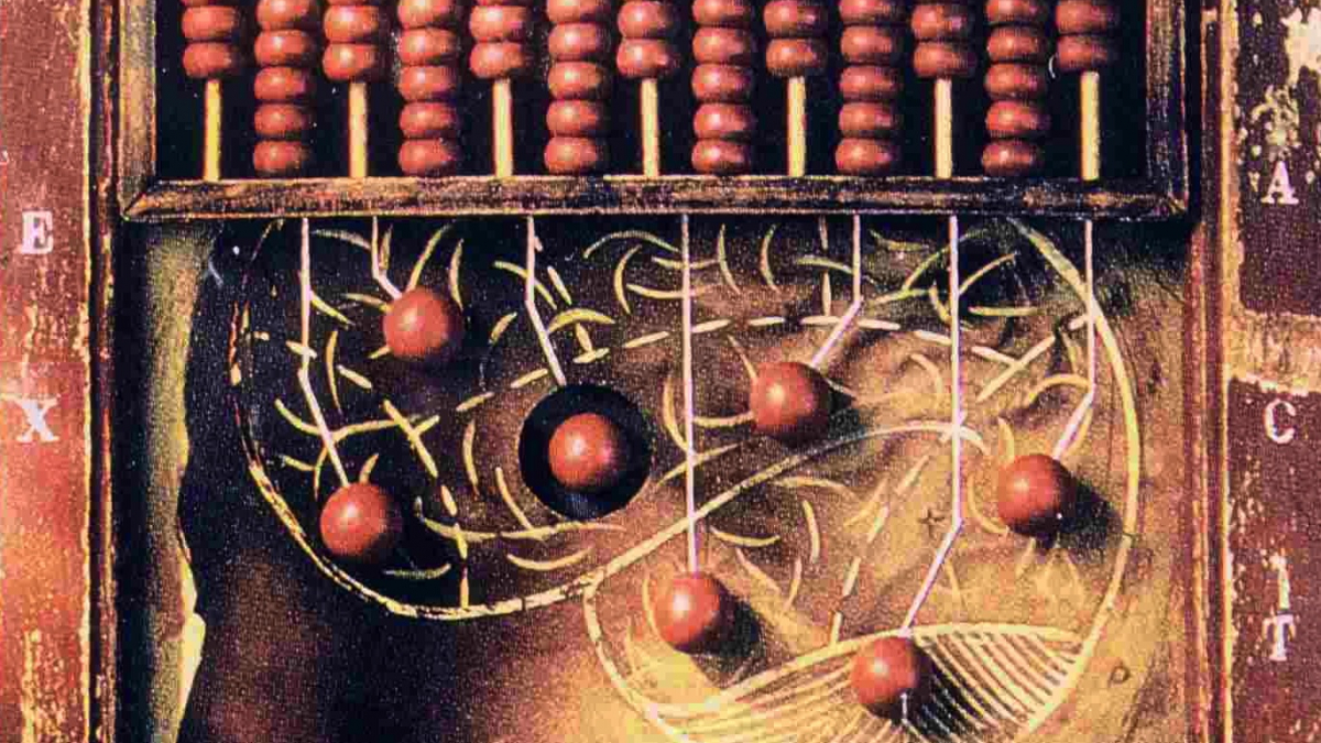 Il tuo cervello dà i numeri