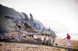 Il Teschio di Drago sulla Jurassic Coast