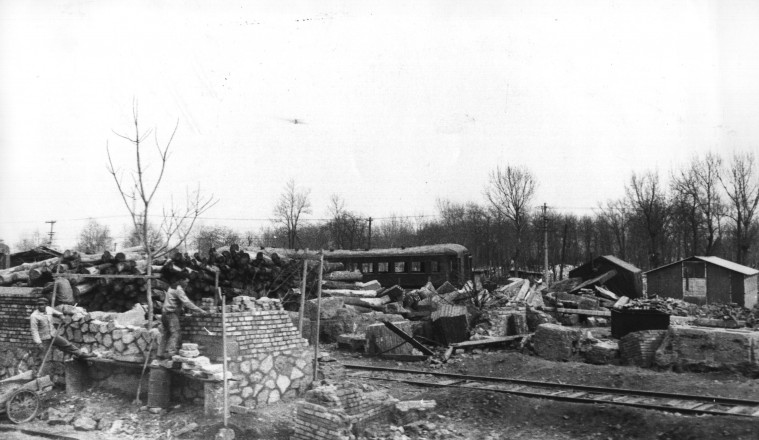 Il terremoto di Tangshan