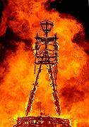 Burning Man 2013