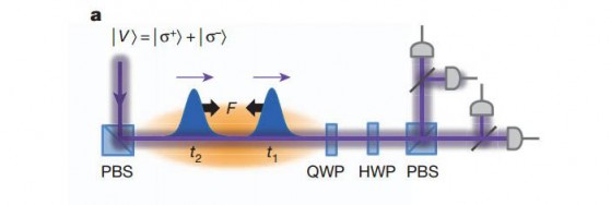 nvjhbkk-1