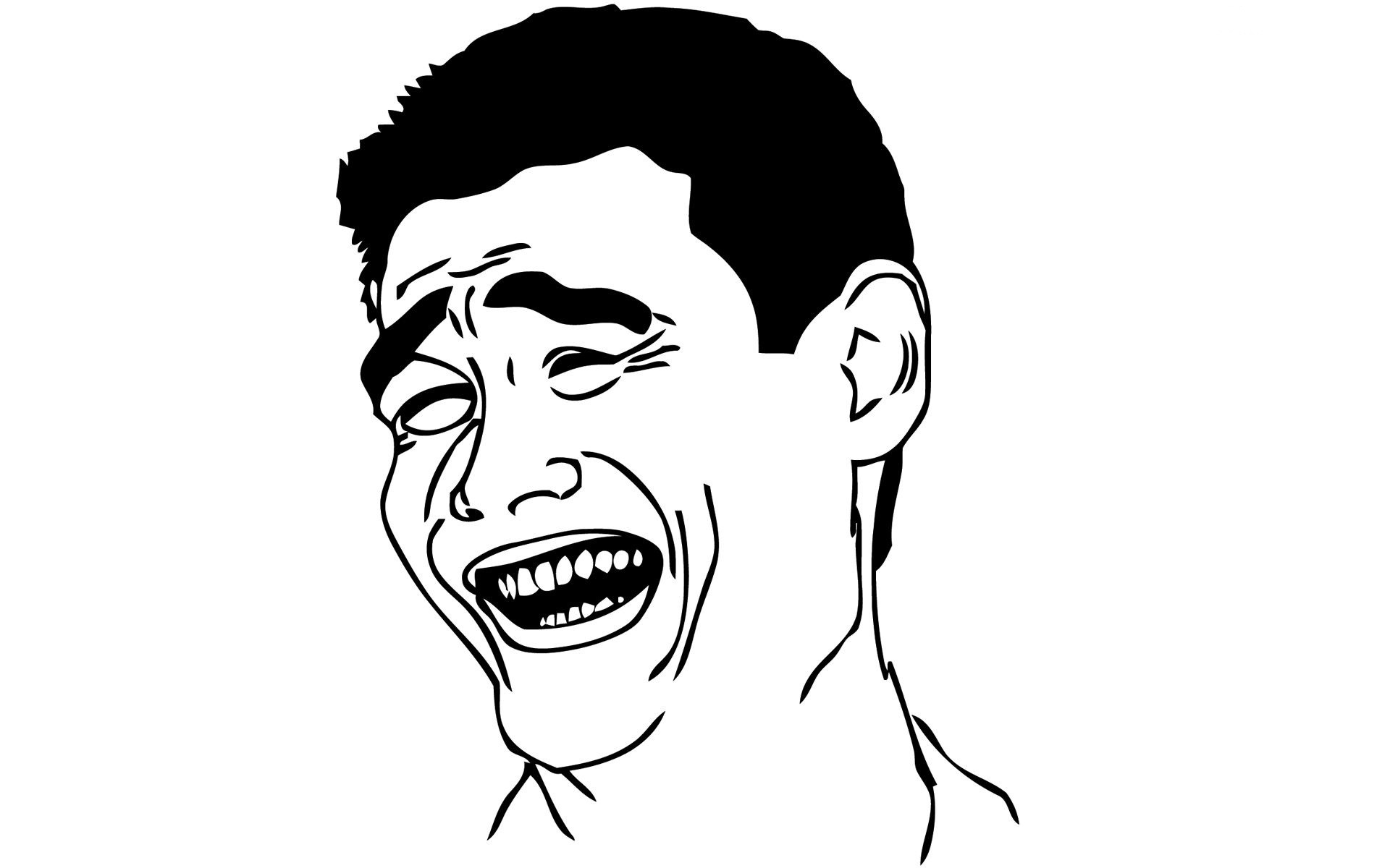 I migliori meme del 2013