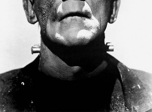 Frankenstein's_monster_(Boris_Karloff) 3