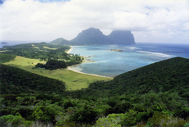 I Giganti dell'Isola di Lord Howe