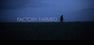 Cortometraggio: Factory Farmed