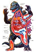 L’Anatomia Impossibile di Godzilla