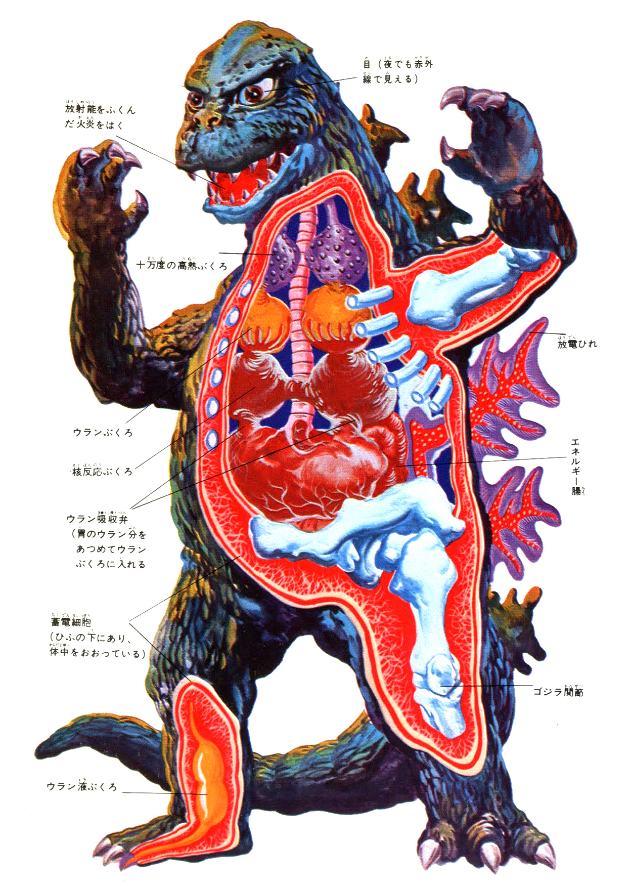 L’Anatomia Impossibile di Godzilla