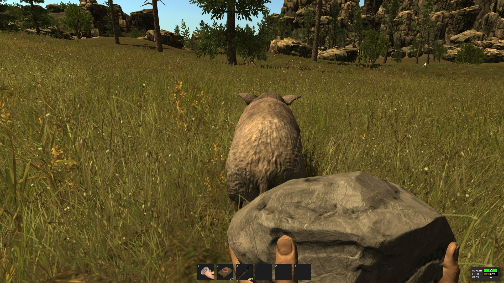 Recensione Rust