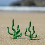 I LEGO marini sulle spiagge della Cornovaglia