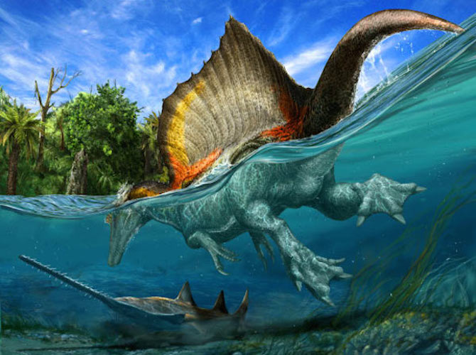 Spinosauro: il primo dinosauro semi-acquatico