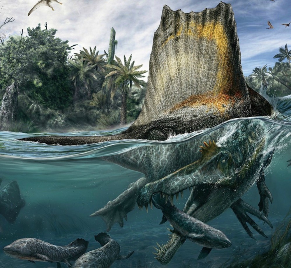spinosaurus-restoration-990x912