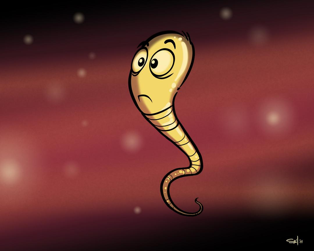 Meno spermatozoi per i vegetariani