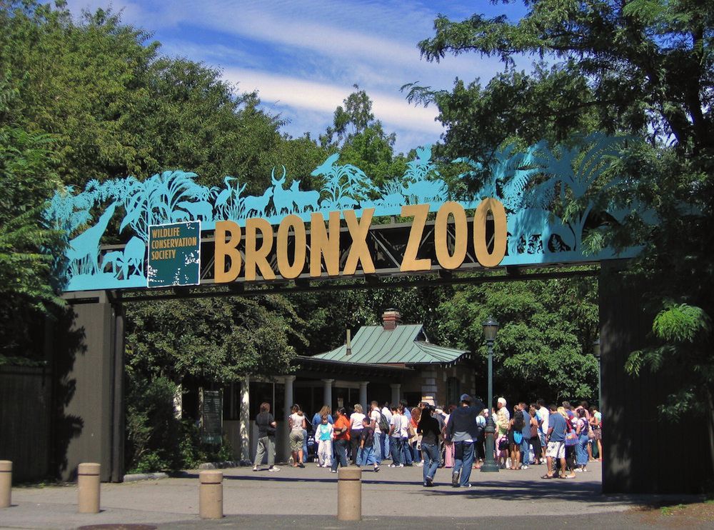 Il cimitero degli animali estinti nello Zoo del Bronx