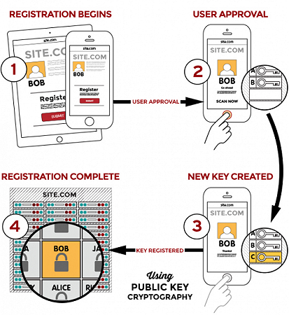 graphic_Registration