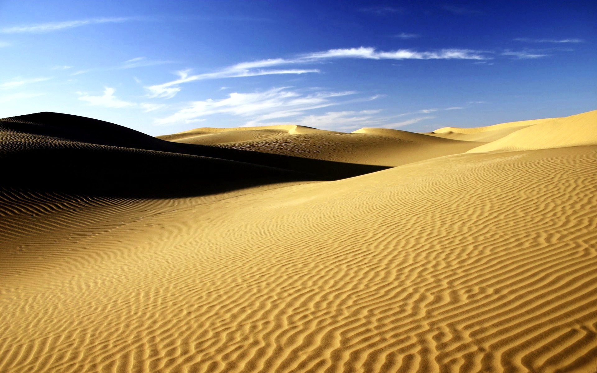 Sahara: 100 milioni di anni fa il luogo più pericoloso del mondo