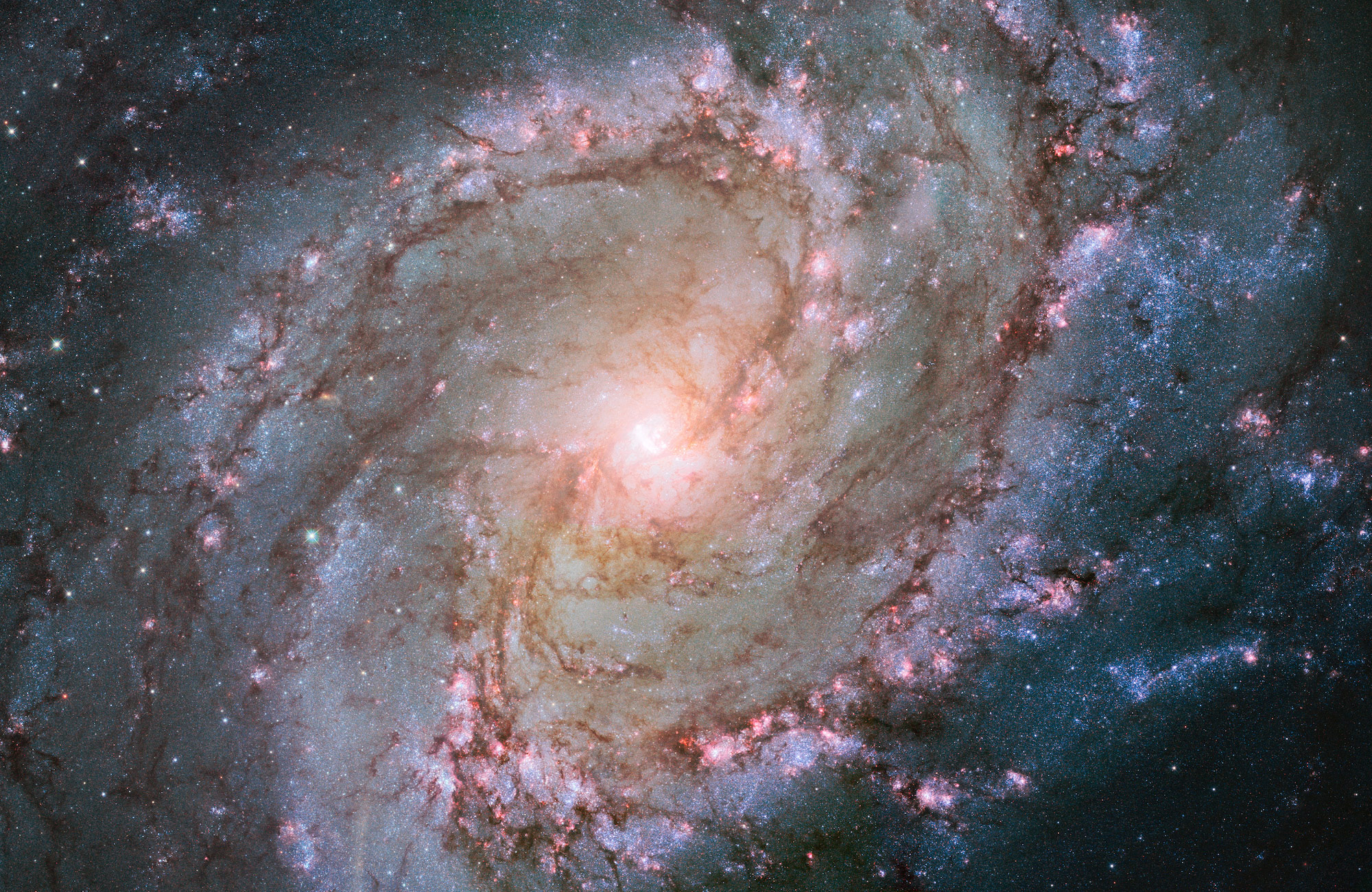 Stephen Hawking: la vita, l’Universo e… la Teoria del Tutto
