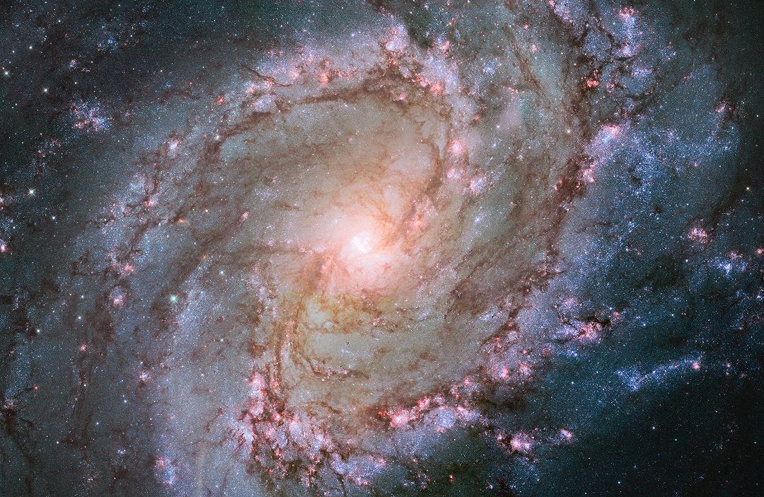 Stephen Hawking: la vita, l’Universo e… la Teoria del Tutto