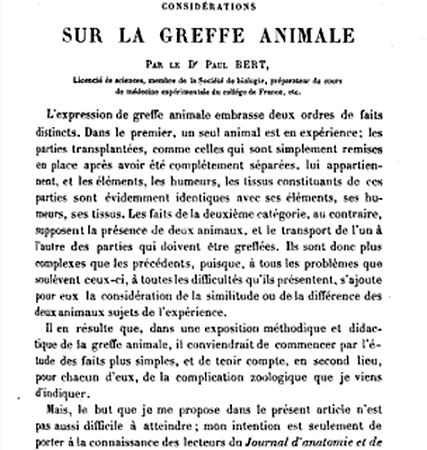 greffe animale