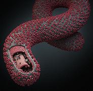 Trovato un vaccino altamente efficace contro l’Ebola
