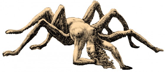 Aracne: Spider.Woman je spiccia casa.