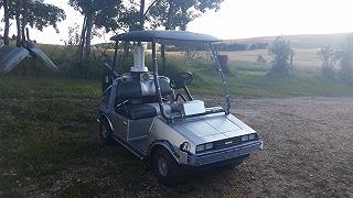 DeLorean Golf Cart