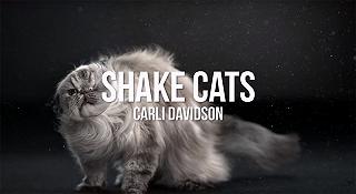 Shake Cats