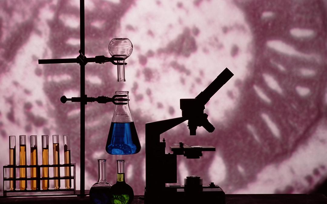 Aggiunti 4 nuovi elementi della Tavola Periodica