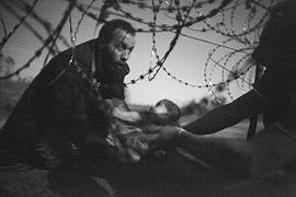 World Press Photo Contest 2016