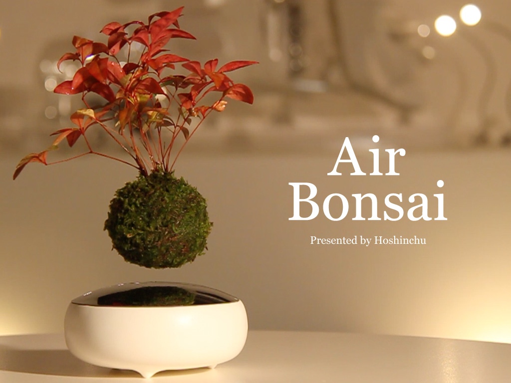 Air Bonsai, piante fluttanti