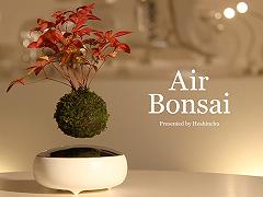 Air Bonsai, piante fluttanti