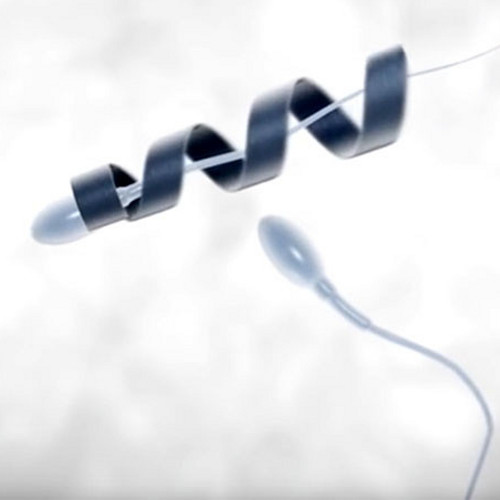 Spermbot, spermatozoi potenziati con la stampa 3D