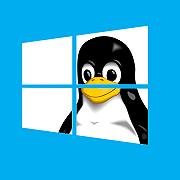 Windows 10 nasconde un sottosistema Linux?