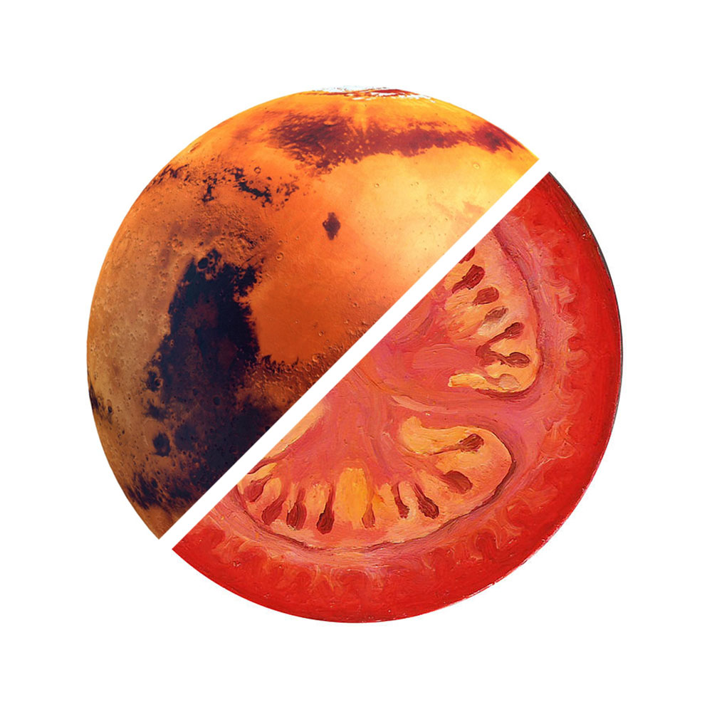 Coltivare pomodori su Marte: si può fare!