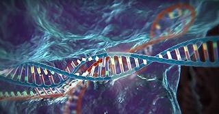 HIV mostra le prime resistenze a CRISPR-Cas9