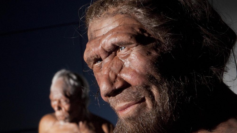 neanderthal herpes