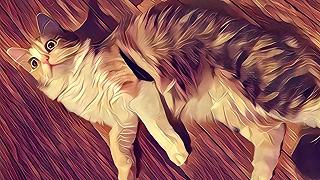 Prisma, l’app che trasforma le foto in quadri