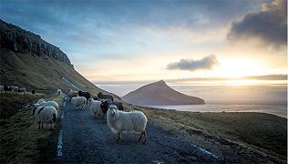 Sheep View 360, quando Google non arriva nelle Isole Far Oer