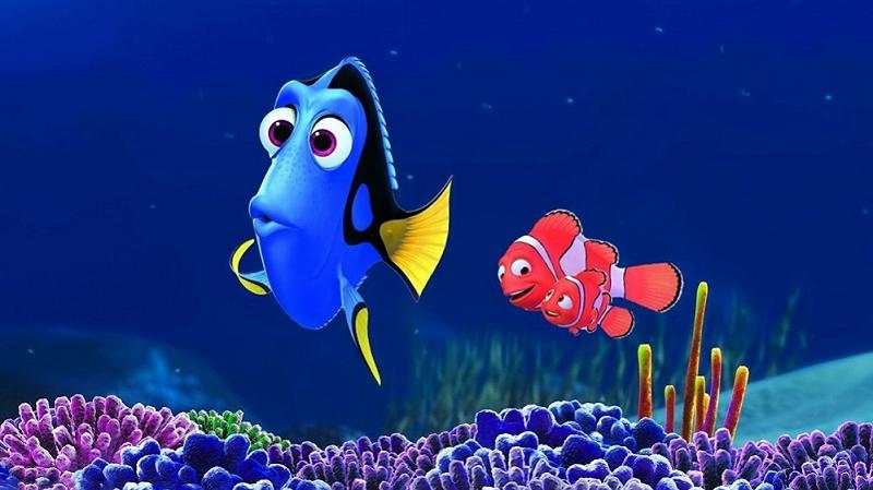 Alla Ricerca di Dory