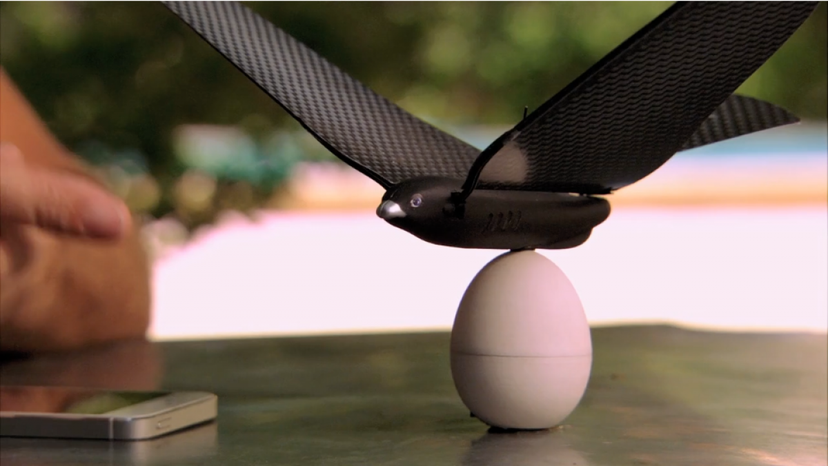 Bionic Bird, il primo drone a forma di uccello