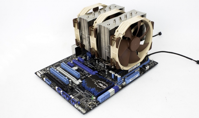 noctua