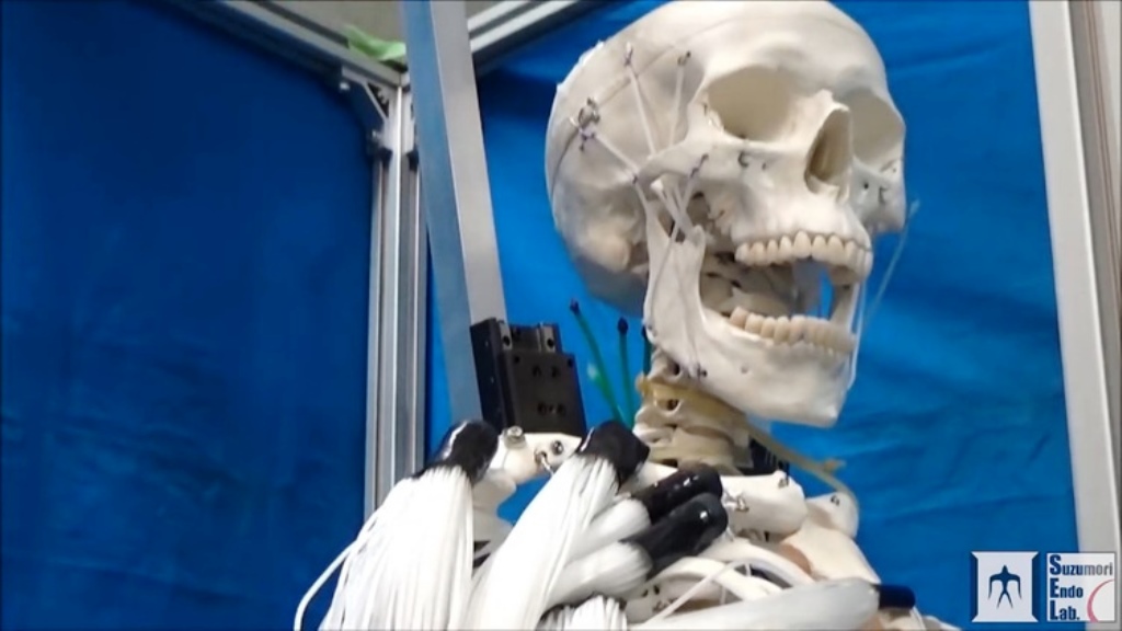 Muscoli artificiali, il futuro della robotica